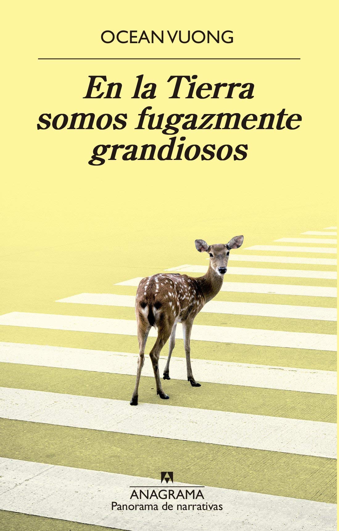 En La Tierra Somos Fugazmente Grandiosos (Panorama de narrativas, Band 1022)