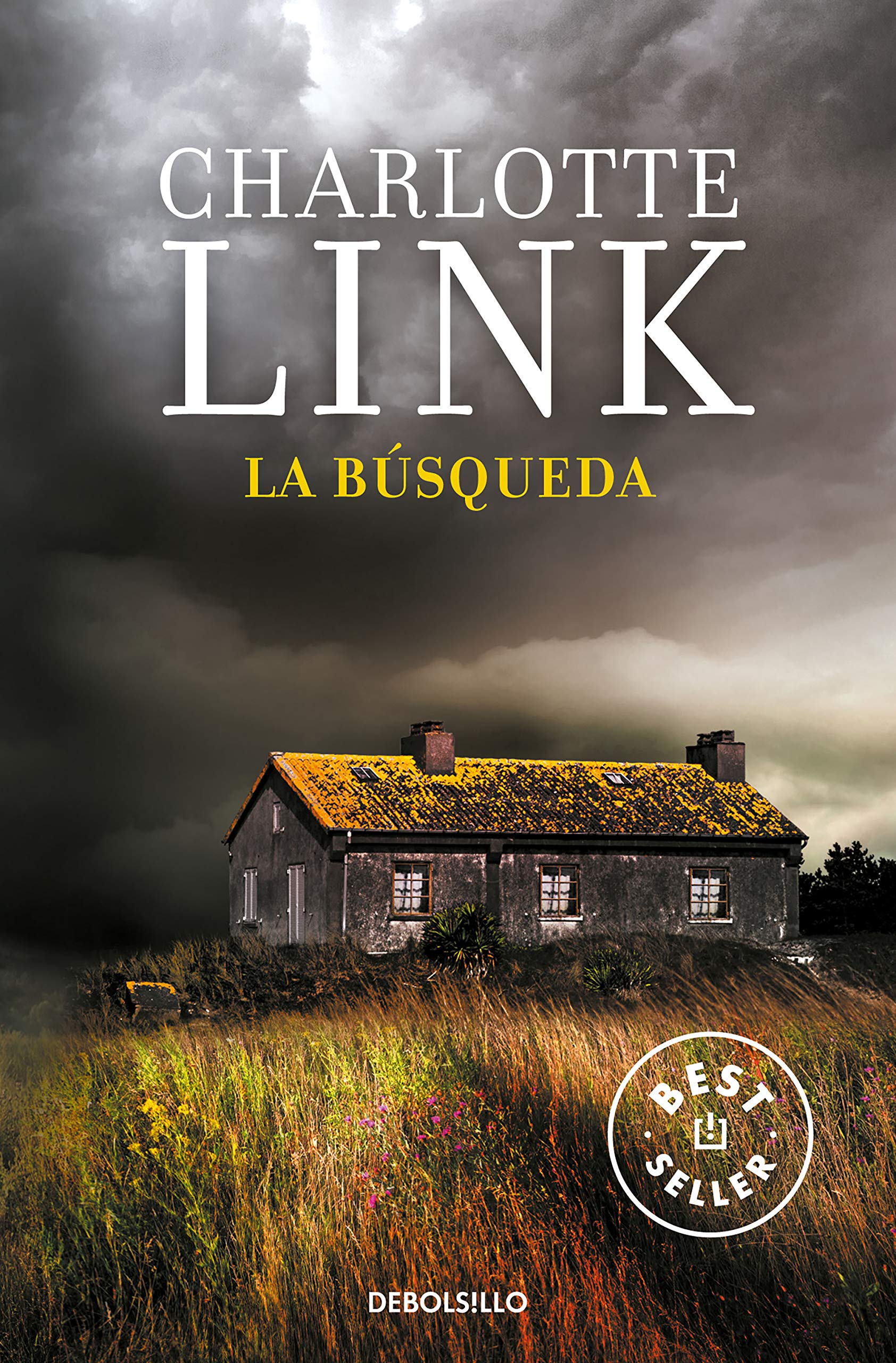 La búsqueda (Best Seller)