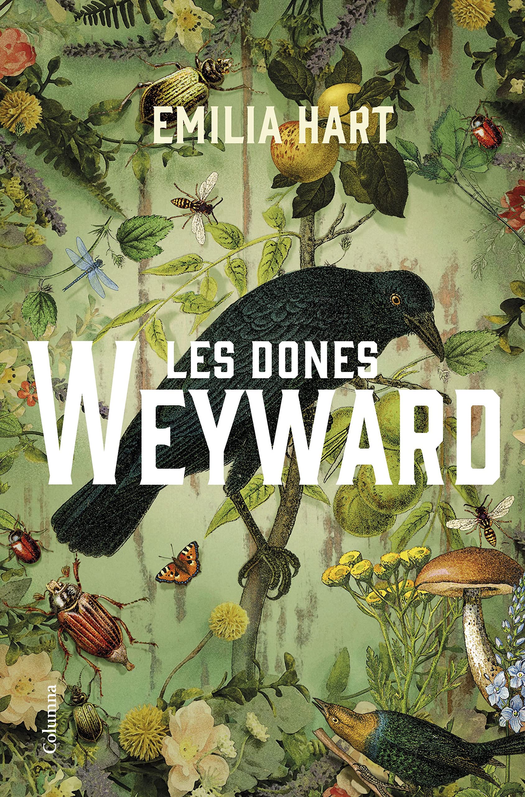 Les dones Weyward (Clàssica)