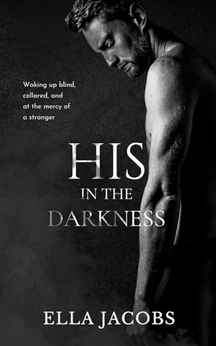His in the Darkness: A Dark Romance Novella