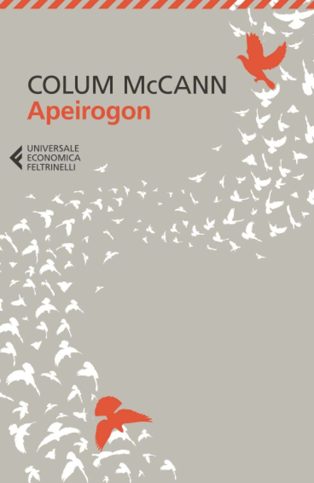 Apeirogon (Universale economica)