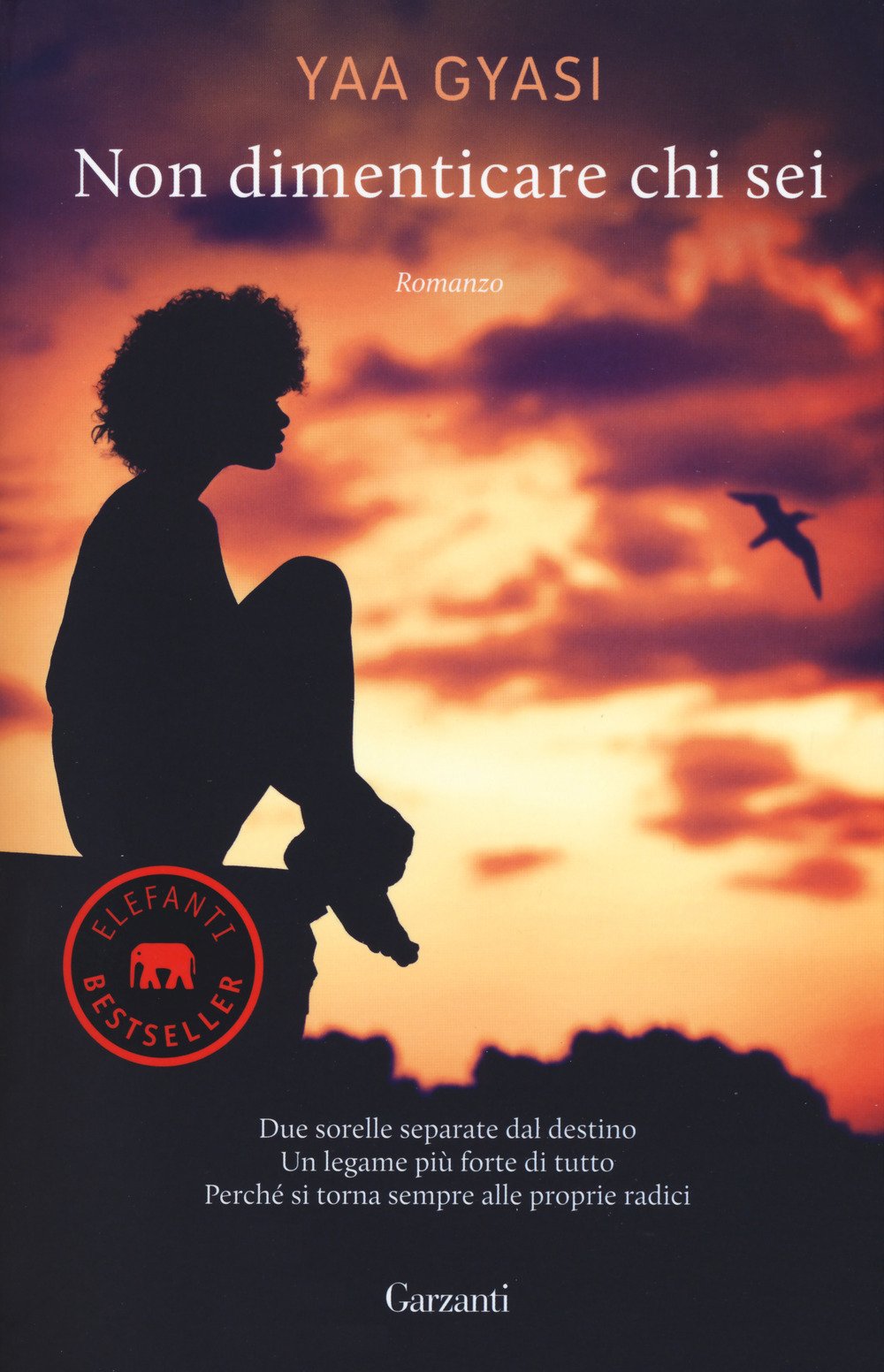 Non dimenticare chi sei (Elefanti bestseller)