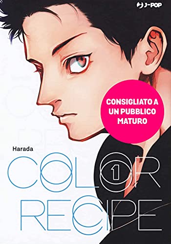 COLOR RECIPE 1