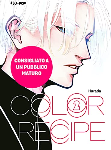 "COLOR RECIPE 2"