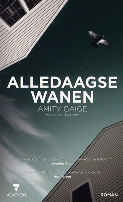 Alledaagse wanen: roman