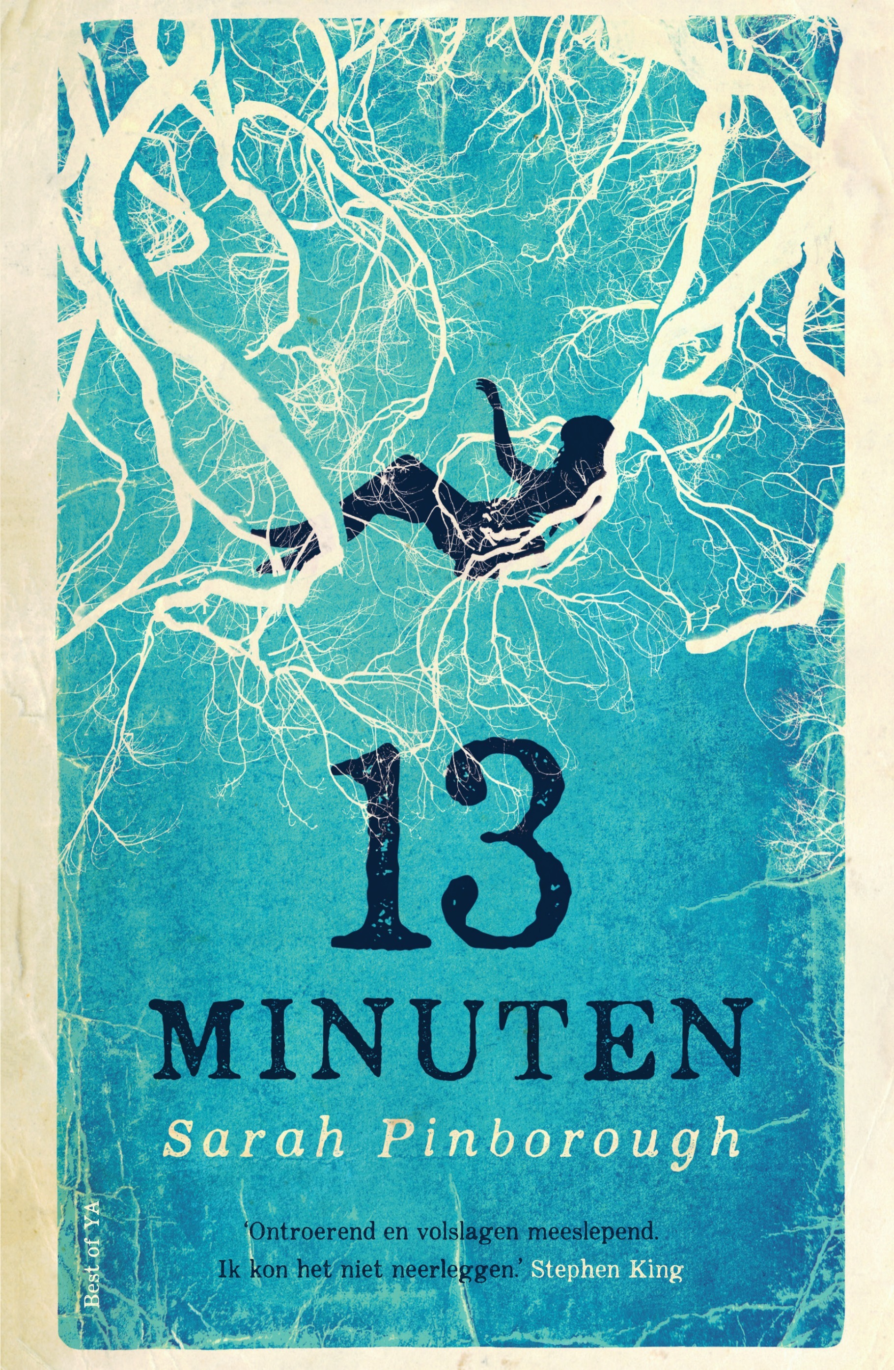 13 minuten (Best of YA)
