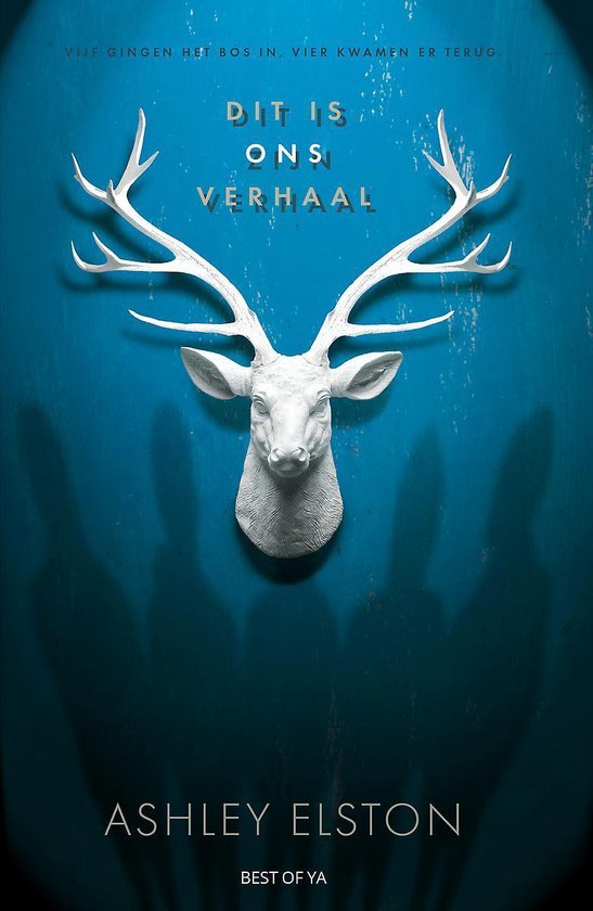 Dit is ons verhaal (Best of YA)