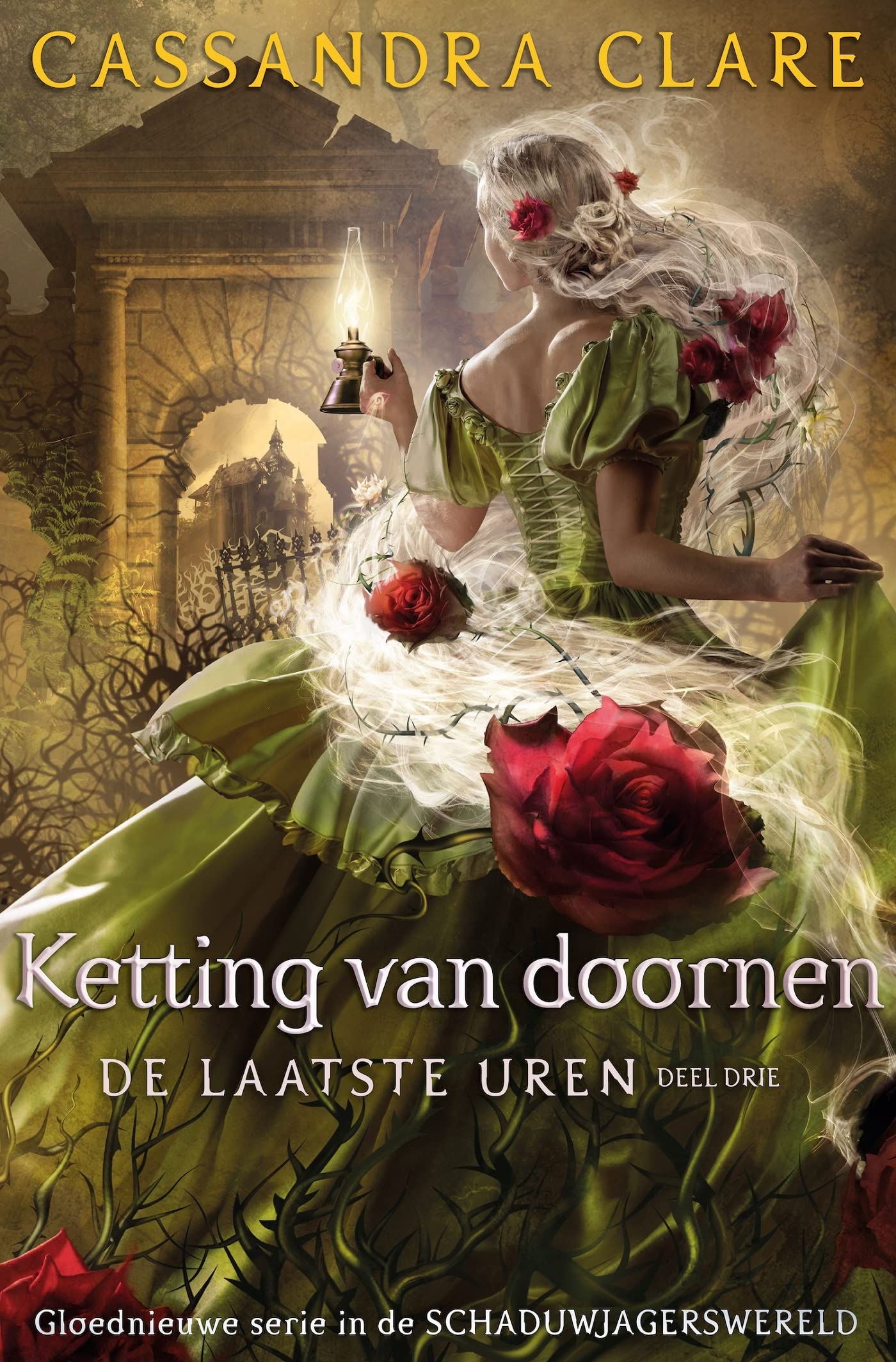 Ketting van doornen (De laatste uren, 3)