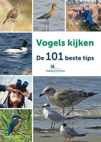 Vogels kijken: de 101 beste tips