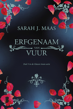 Erfgenaam van vuur (De glazen troon, 3)