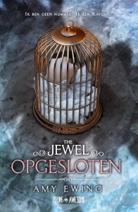 Opgesloten: ik ben geen nummer, ik ben Raven (The jewel)