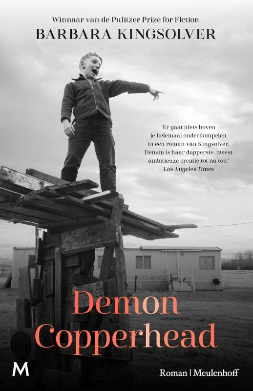 Demon Copperhead: roman