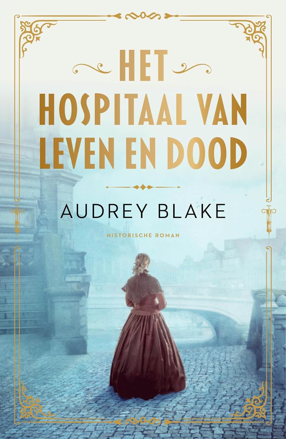 Het hospitaal van leven en dood: roman (Nora Beady, 2)