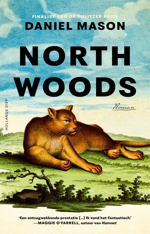 North woods