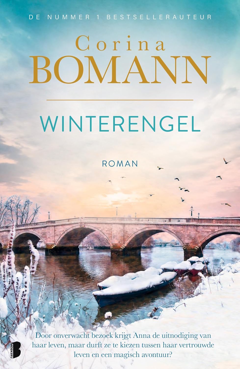 Winterengel: Door een onverwacht bezoek krijgt Anna de uitnodiging van haar leven, maar durft ze te kiezen tussen haar vertrouwde leven en een magisch avontuur?