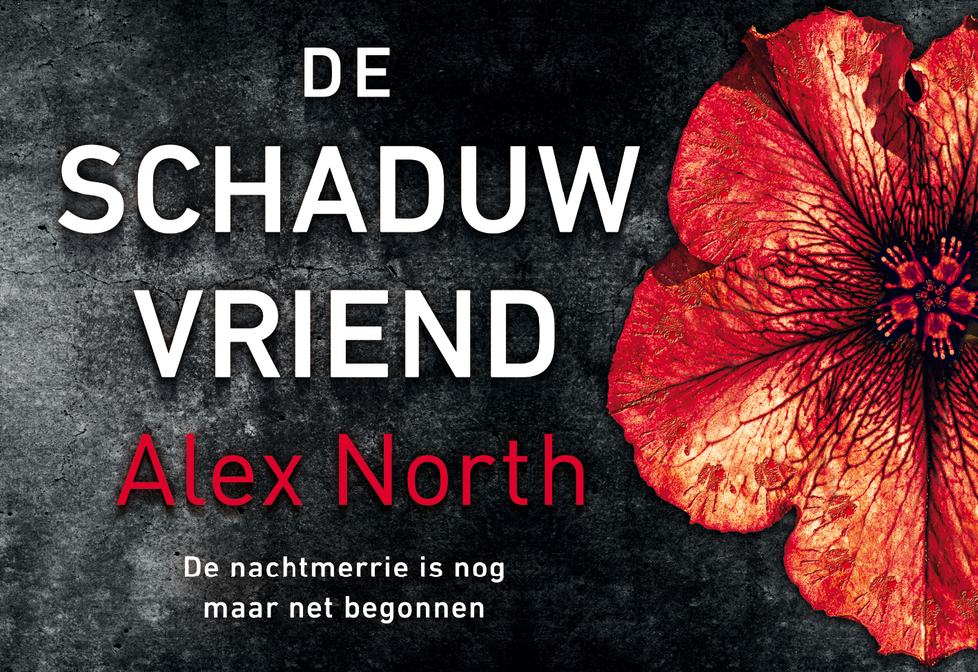 De schaduwvriend (Dwarsligger, 699)