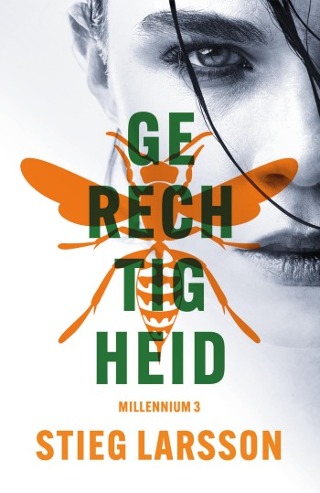 Gerechtigheid (Millennium, Band 3)