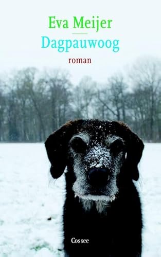 Dagpauwoog: roman