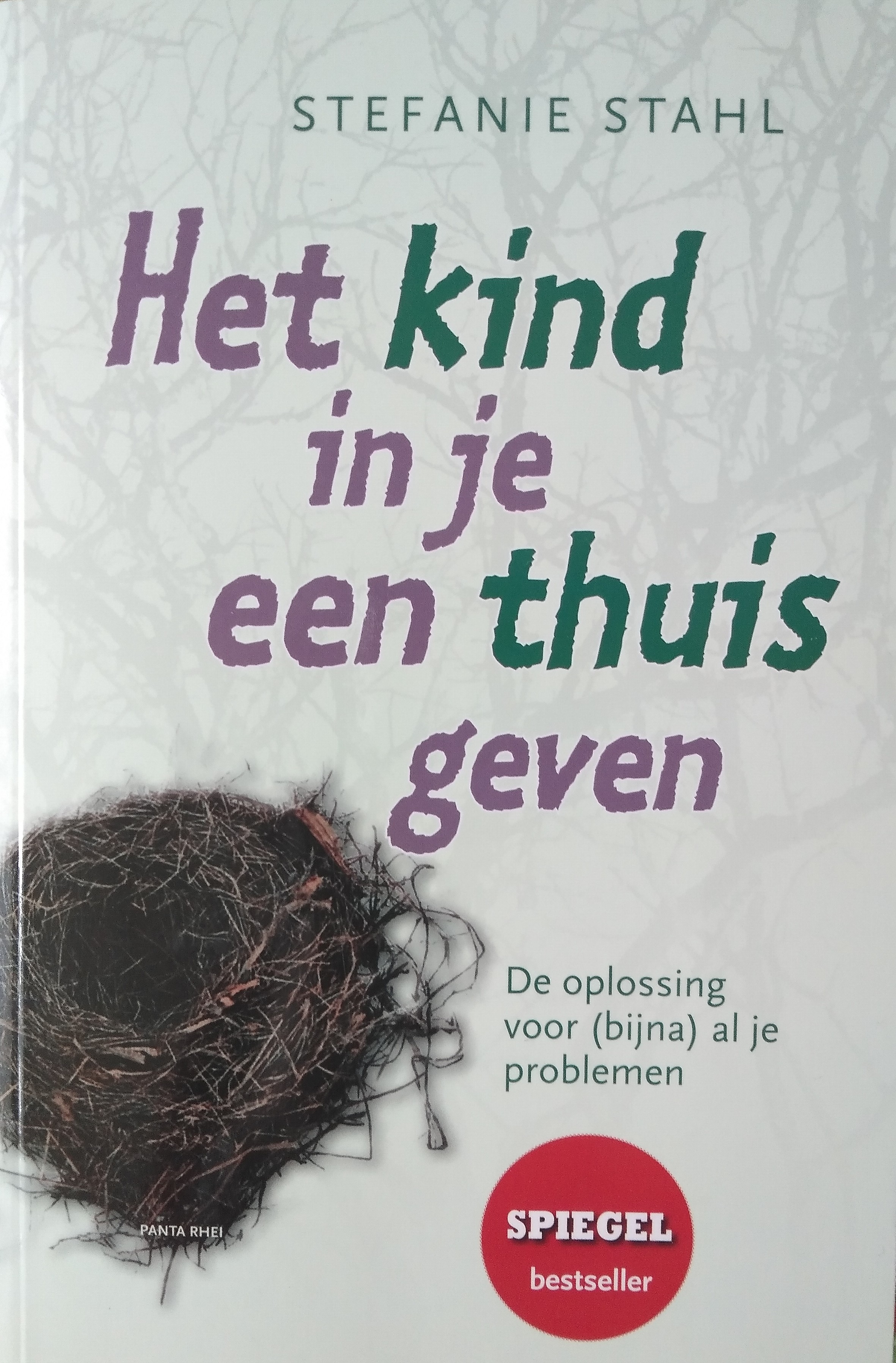 Het kind in je een thuis geven: De oplossing voor (bijna) al je problemen