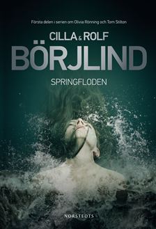Springfloden (Rönning/Stilton, Band 1)