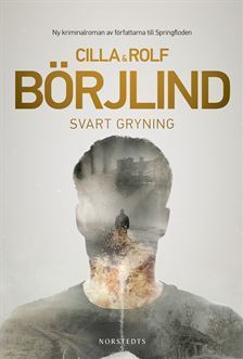 Svart gryning (Rönning/Stilton, Band 3)