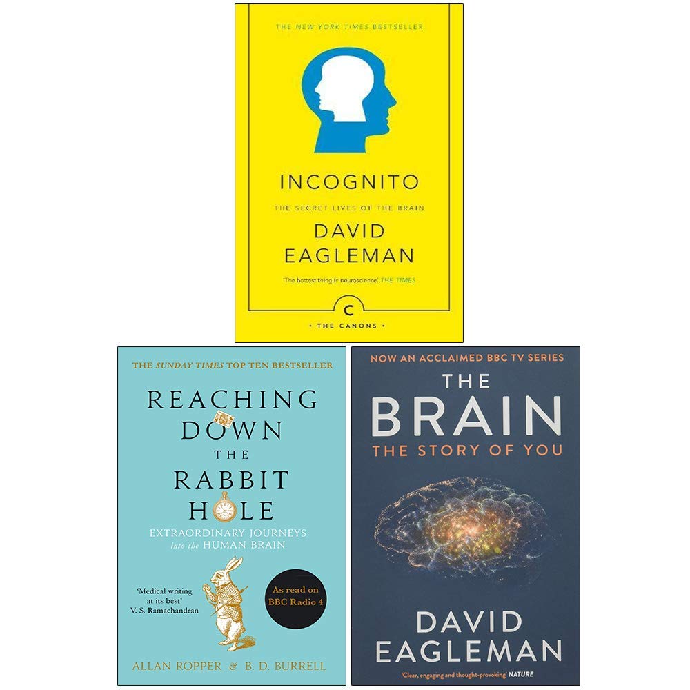 Incognito The Secret Lives of The Brain, Reaching Down The Rabbit Hole, The Brain The Story of You 3 Books Collection Set - David Eagleman