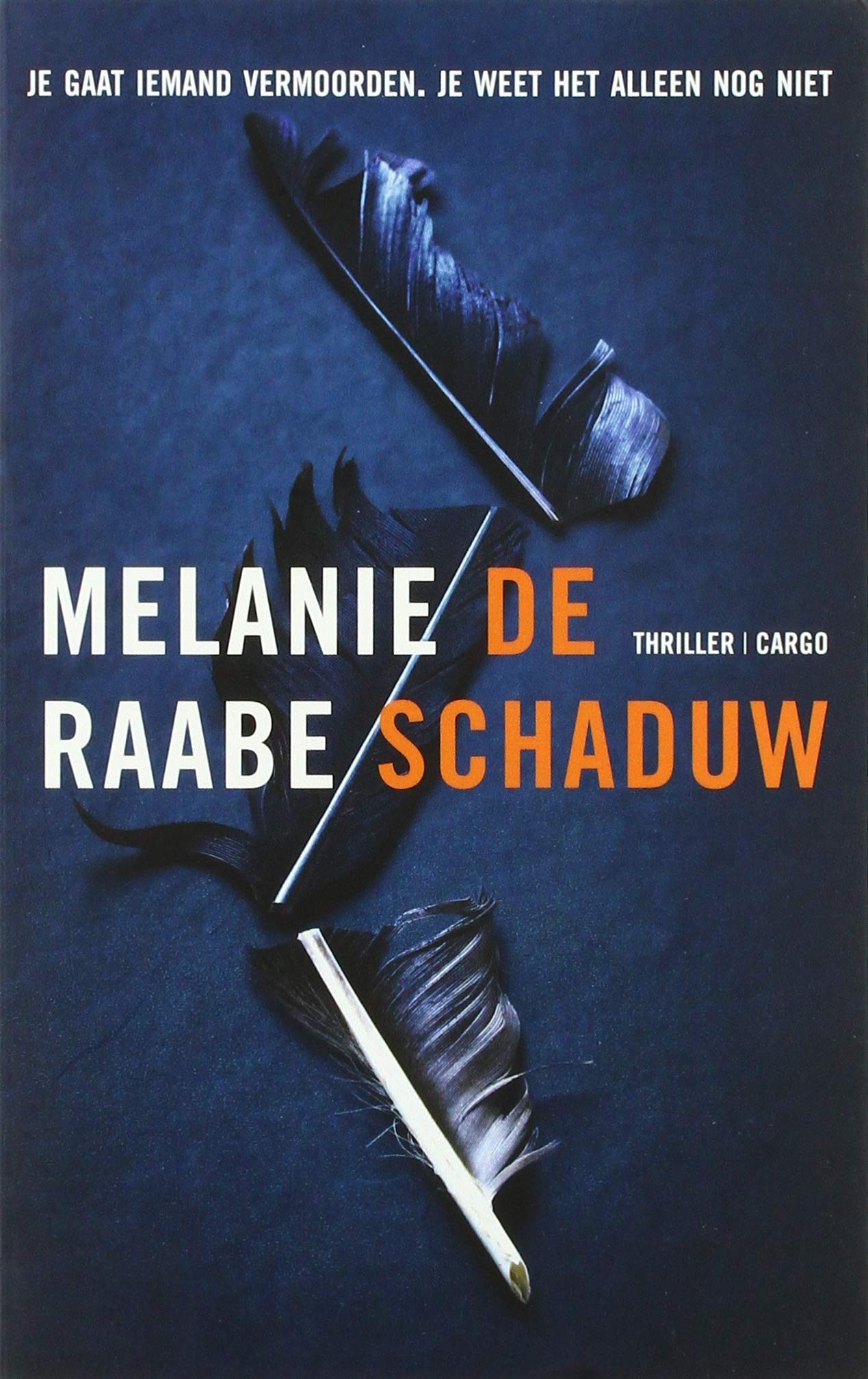 De schaduw