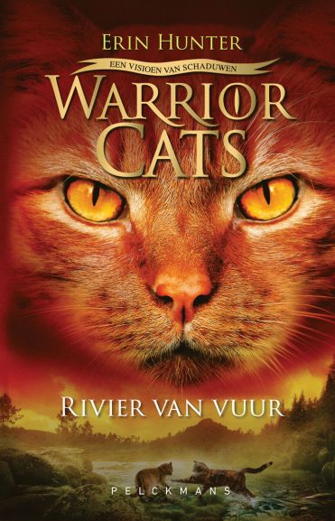 Warrior Cats - Een visioen van schaduwen: Rivier van vuur: Serie 5 - Boek 5