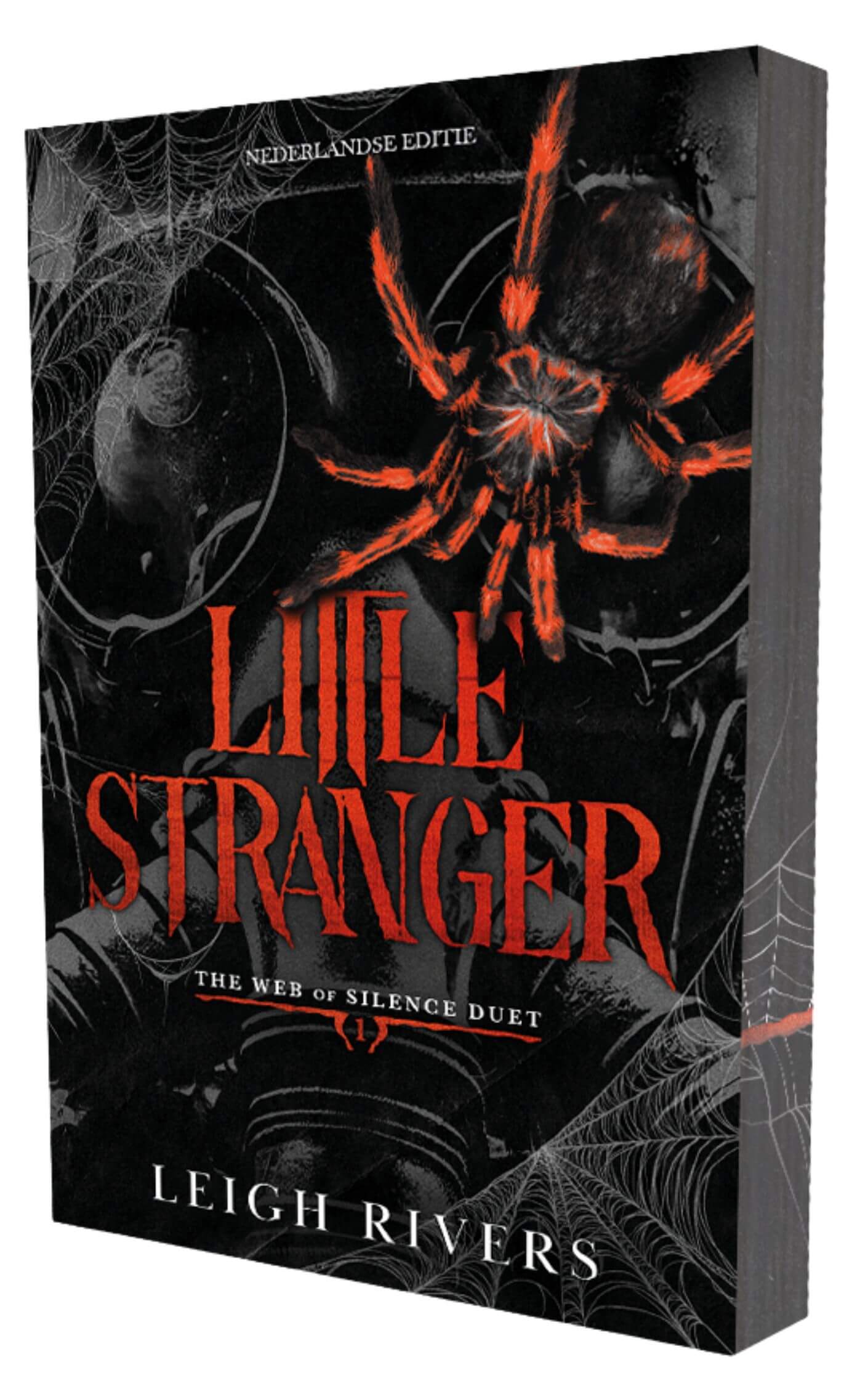 Little stranger (The web of silence, 1)