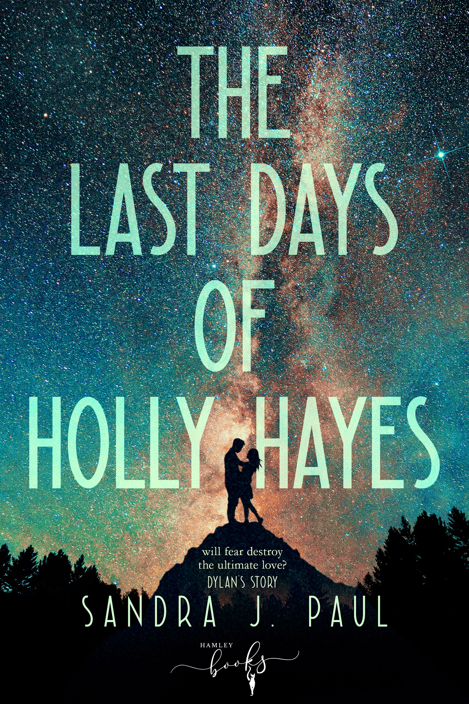 The Last Days of Holly Hayes: The choose your own adventure edition