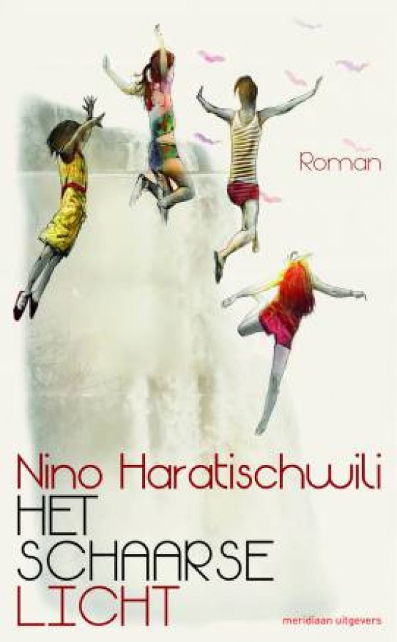 Het schaarse licht: roman