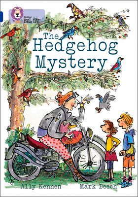 BIG CAT - HEDGEHOG MYSTERY