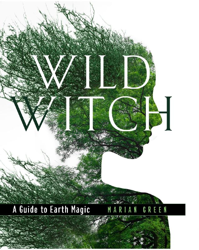 WILD WITCH HB