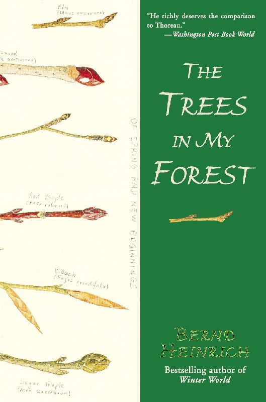 Trees in My Forest, The