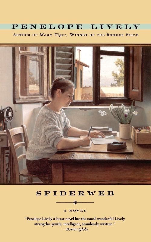 Spiderweb