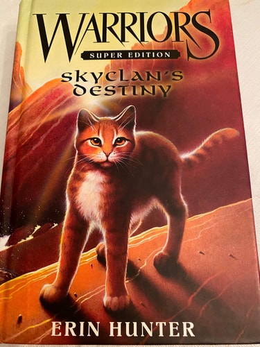 Skyclans Destiny By Hunter, Erin