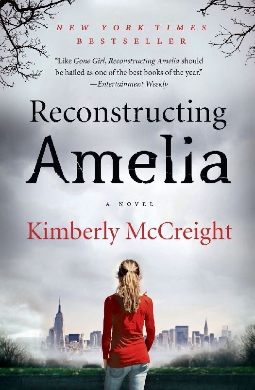 Reconstructing Amelia