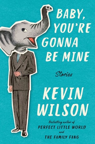 Baby, You're Gonna Be Mine: Stories