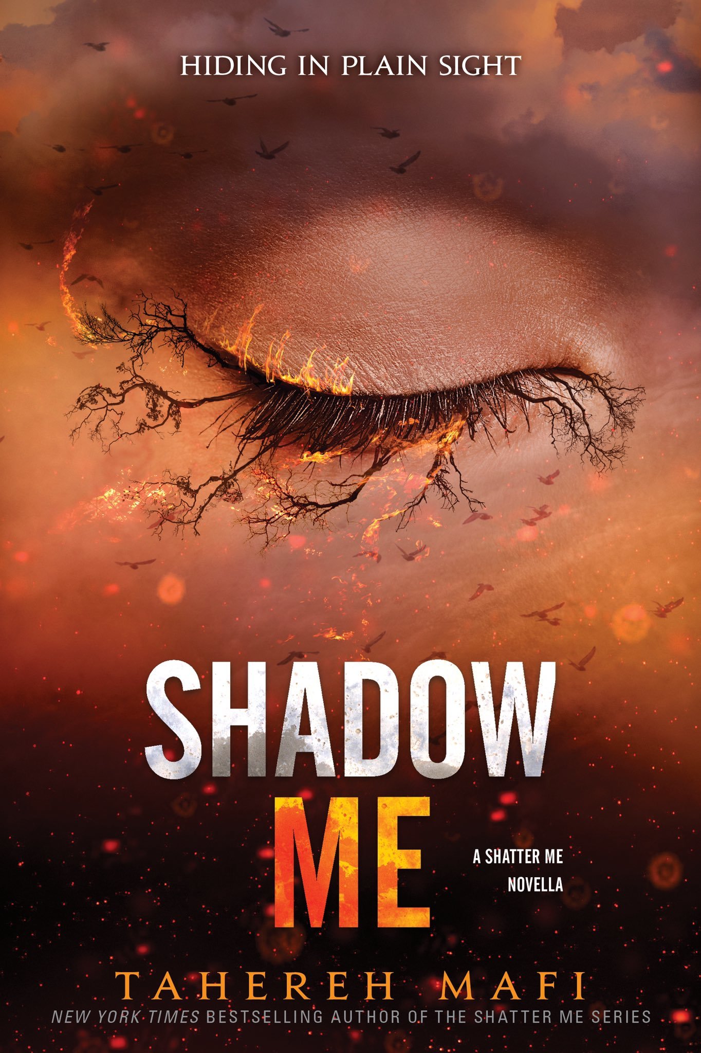 Shadow Me (Shatter Me Novella Book 3)