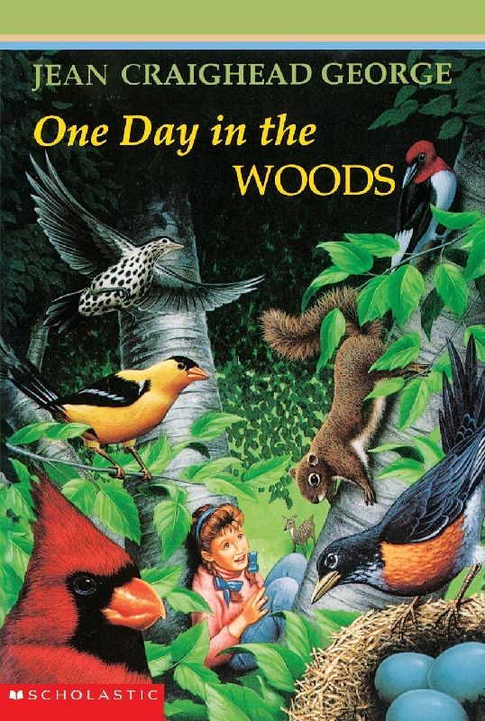 One Day in the Woods