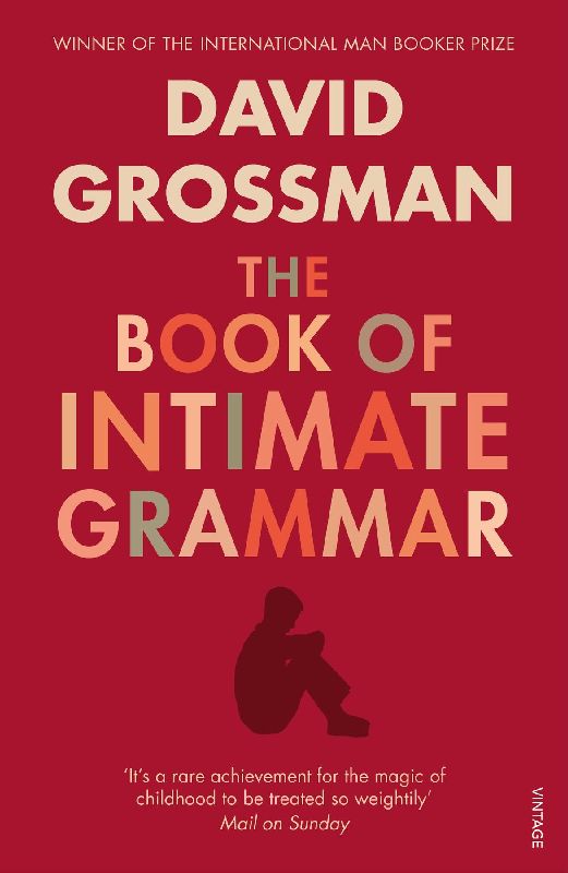 The Book of Intimate Grammar. David Grossman