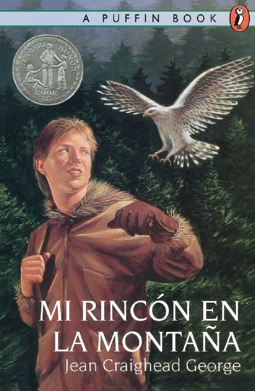 Mi Rincon en la Montana