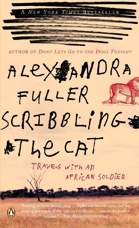 Scribbling the Cat
