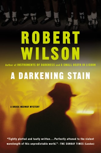 A Darkening Stain (Bruce Medway Mystery Series)