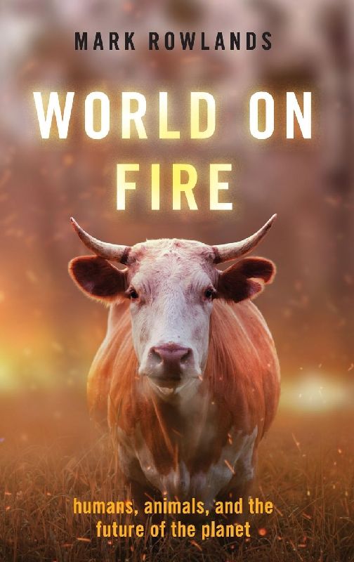 World on Fire