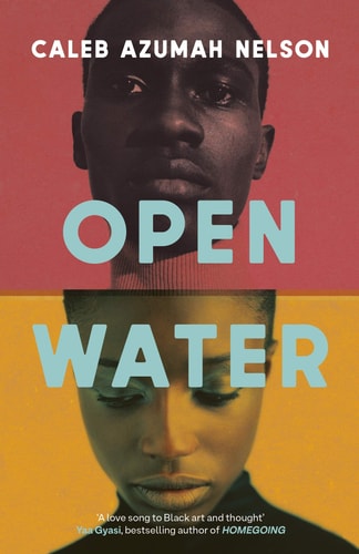 Open Water: Winner of the Costa First Novel Award 2021