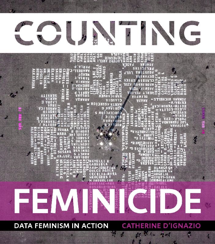 Counting Feminicide