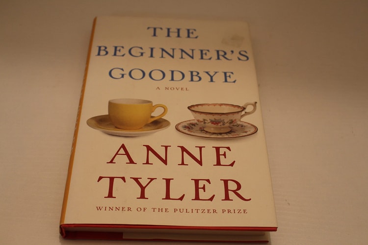 The Beginner's Goodbye