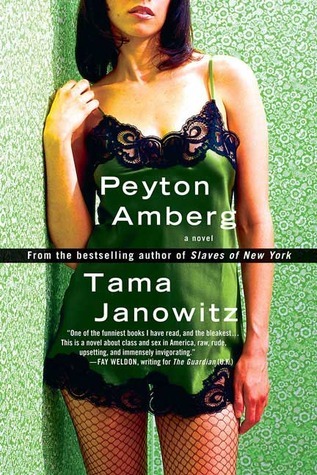 Peyton Amberg: A Novel