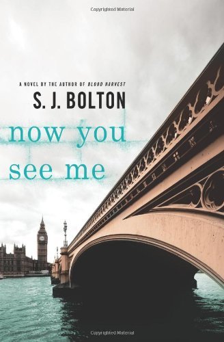 Now You See Me (Lacey Flint Novels)